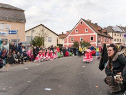 Faschingszug Diesenbach 2025_75